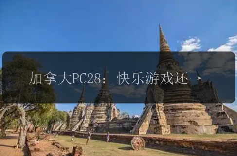 加拿大PC28：快乐游戏还是赌博陷阱？