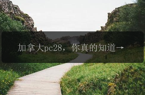 加拿大pc28，你真的知道怎么玩吗？