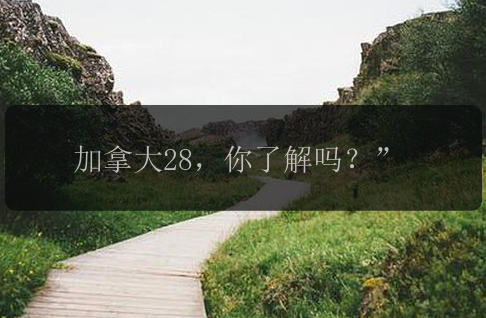 加拿大28，你了解吗？”