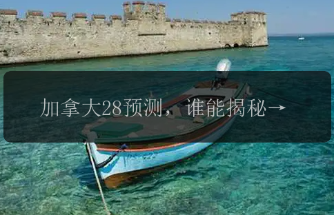 加拿大28预测，谁能揭秘这个游戏的背后秘密？