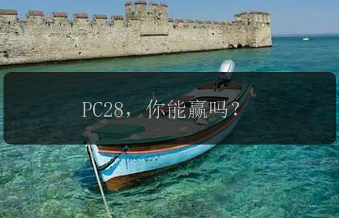 PC28，你能赢吗？