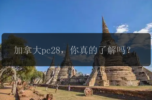 加拿大pc28，你真的了解吗？