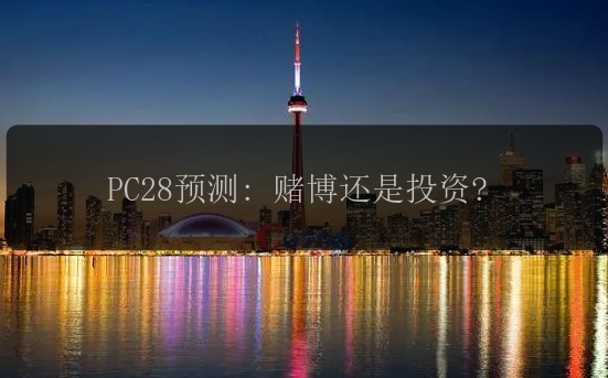 PC28预测: 赌博还是投资?