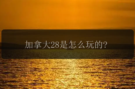 加拿大28是怎么玩的?