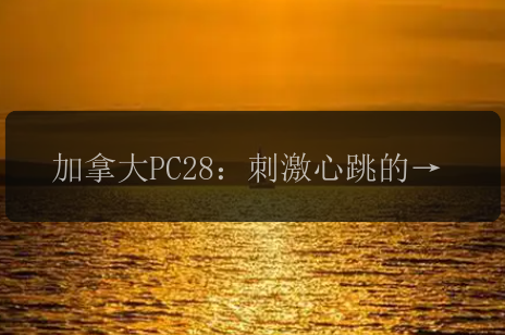 加拿大PC28：刺激心跳的赌博游戏！