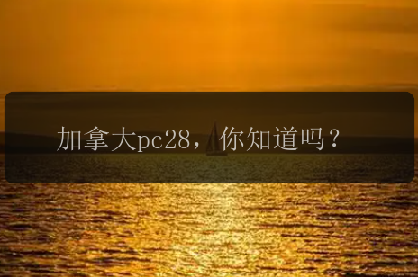 加拿大pc28，你知道吗？