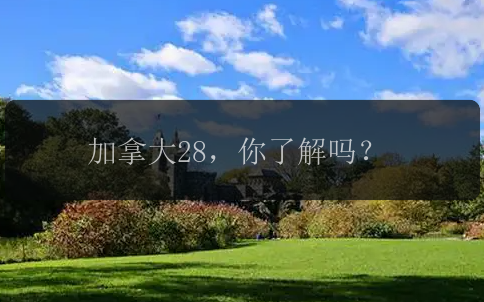 加拿大28，你了解吗？