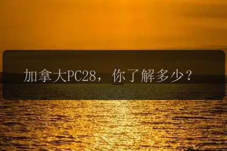 加拿大PC28，你了解多少？