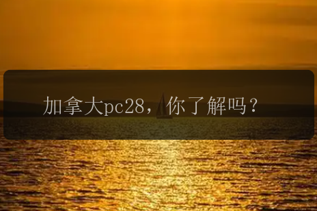 加拿大pc28，你了解吗？