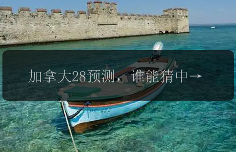 加拿大28预测，谁能猜中最终结果？