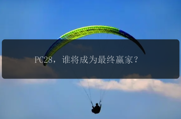 PC28，谁将成为最终赢家？