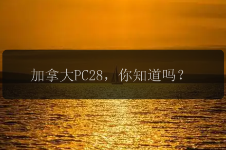 加拿大PC28，你知道吗？